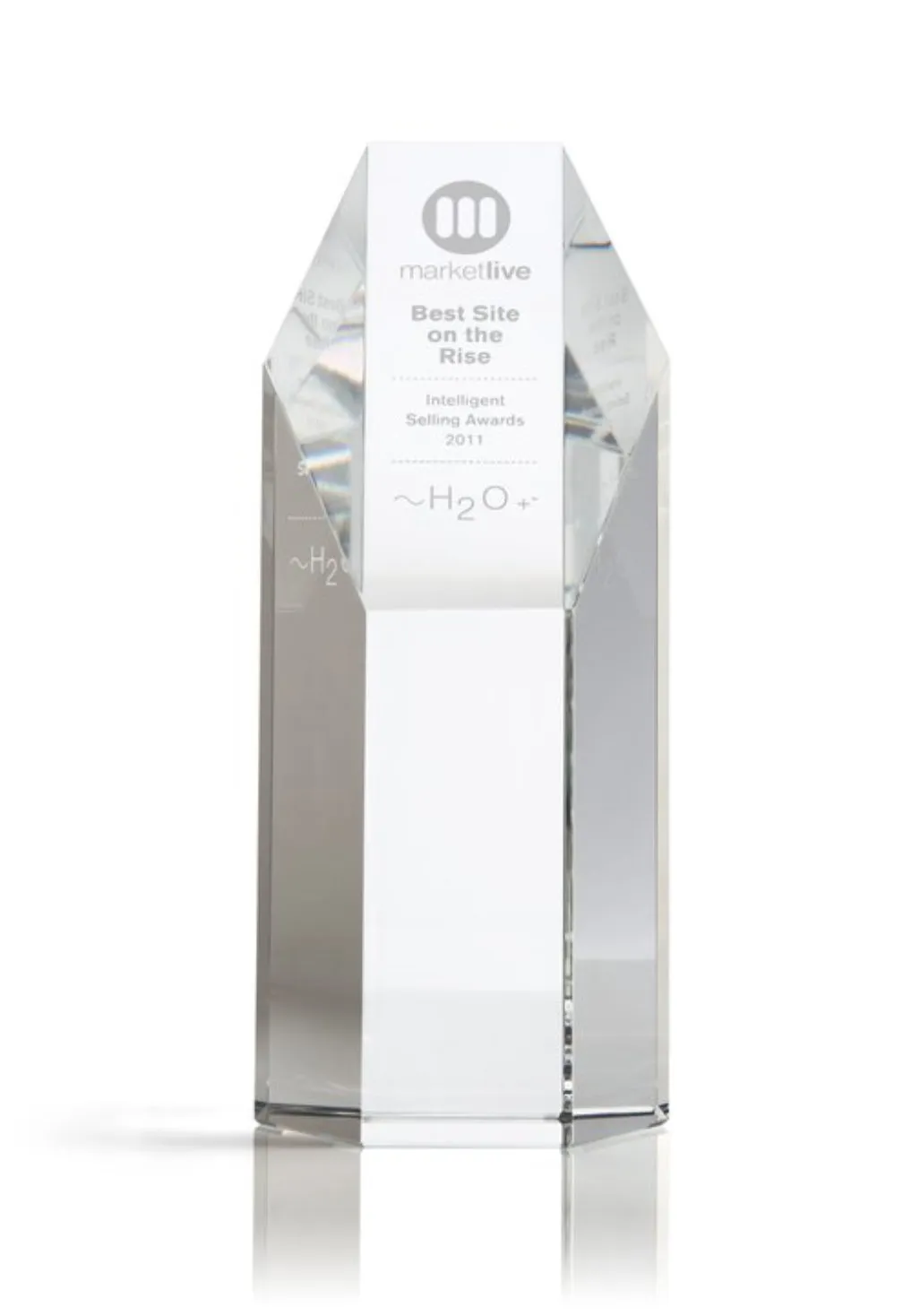 H2O Plus award from MarketLive for 'Best Site on the Rise.'